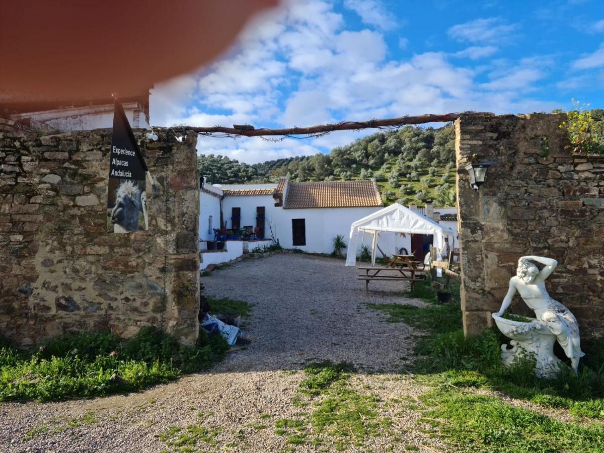 Appartement Experience Alpacas In Andalucia à Cordoue Extérieur photo