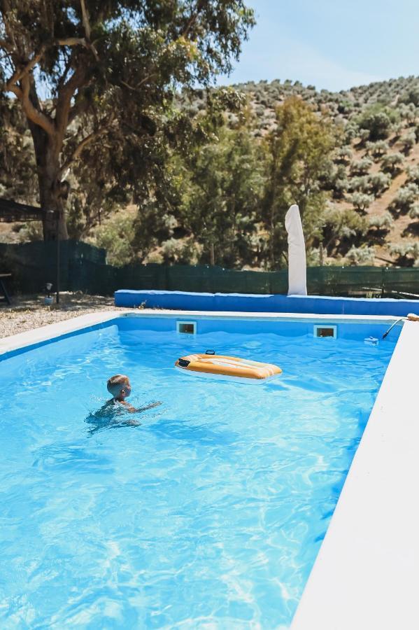 Appartement Experience Alpacas In Andalucia à Cordoue Extérieur photo