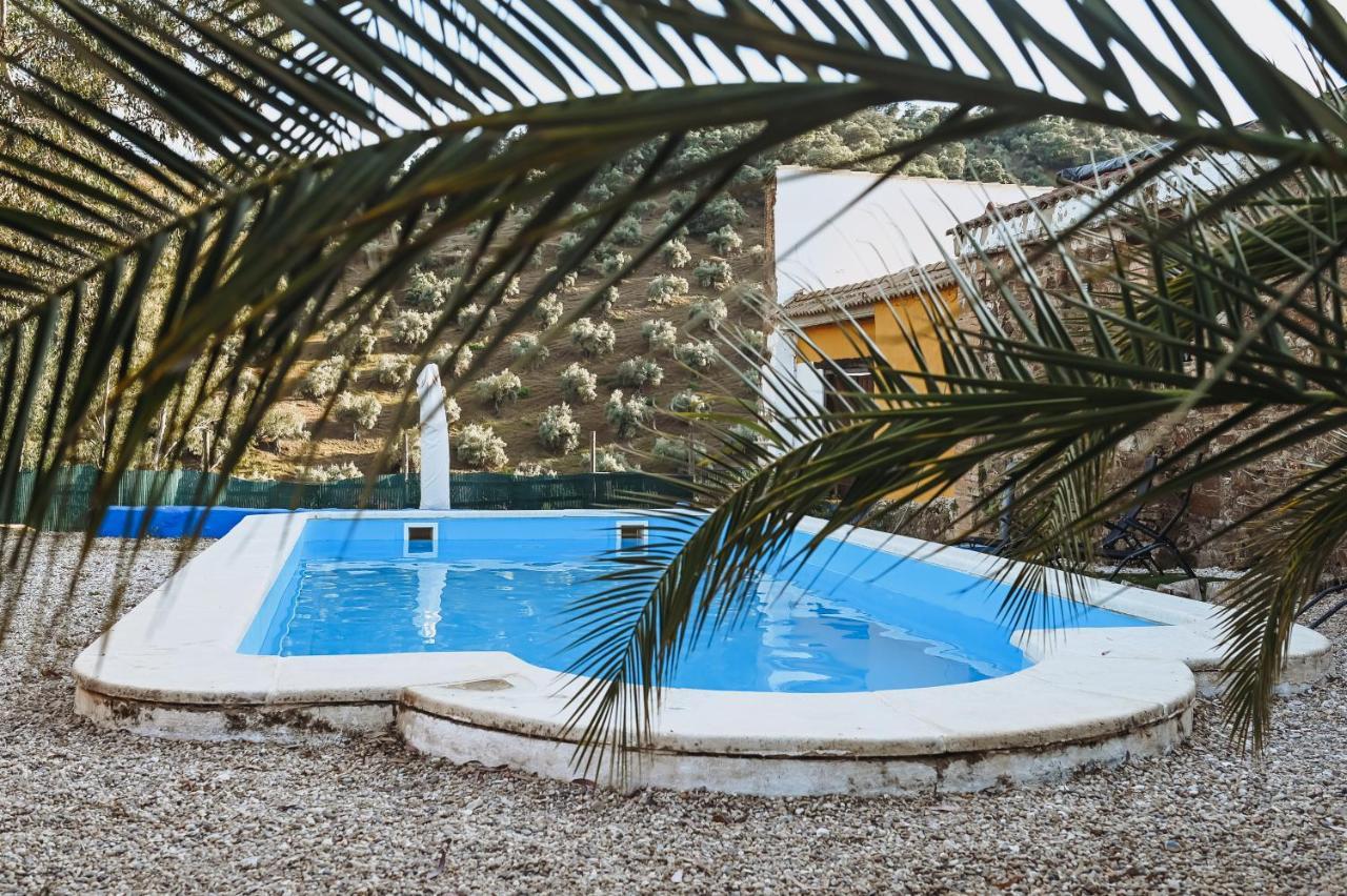 Appartement Experience Alpacas In Andalucia à Cordoue Extérieur photo