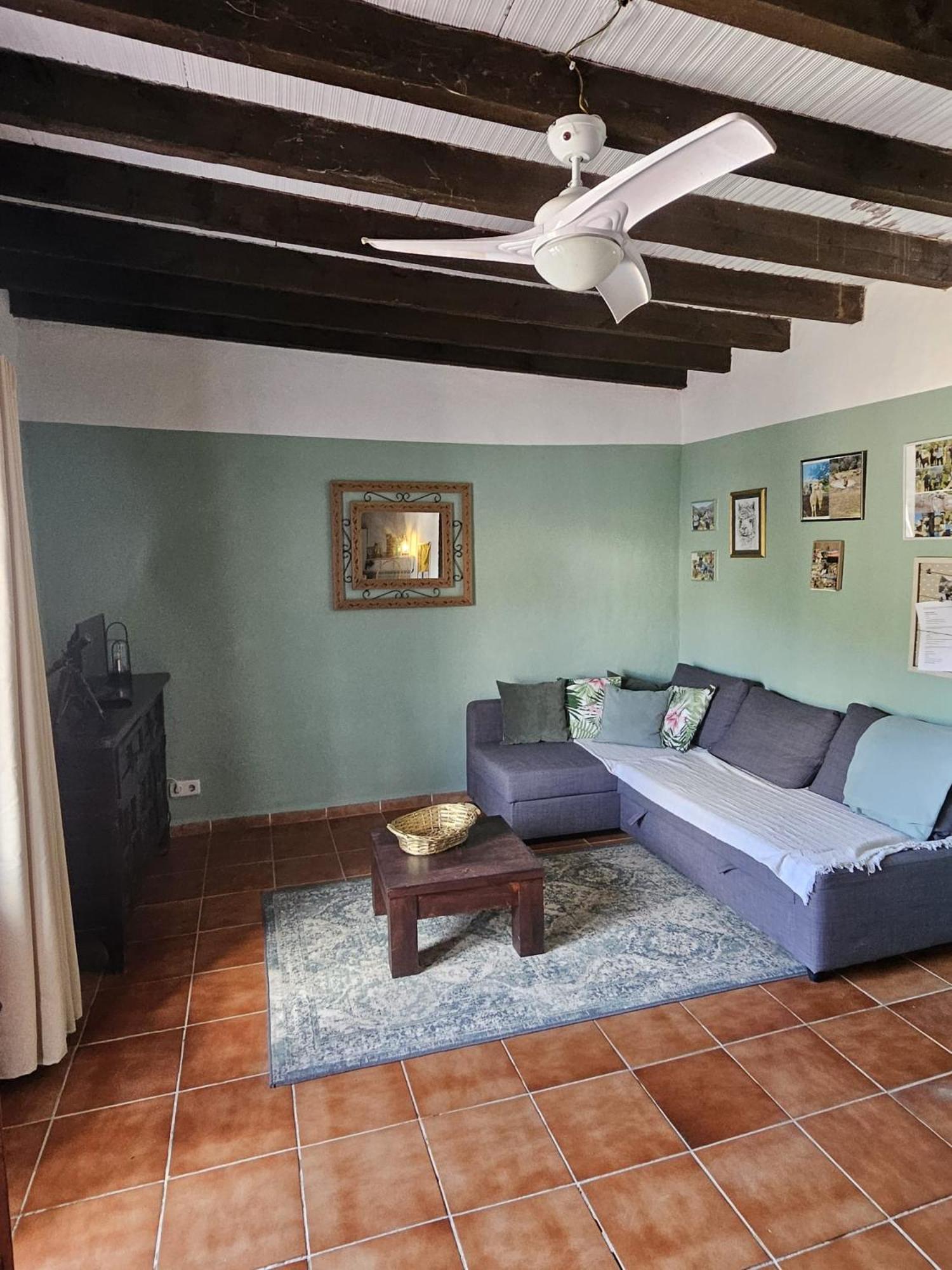 Appartement Experience Alpacas In Andalucia à Cordoue Extérieur photo