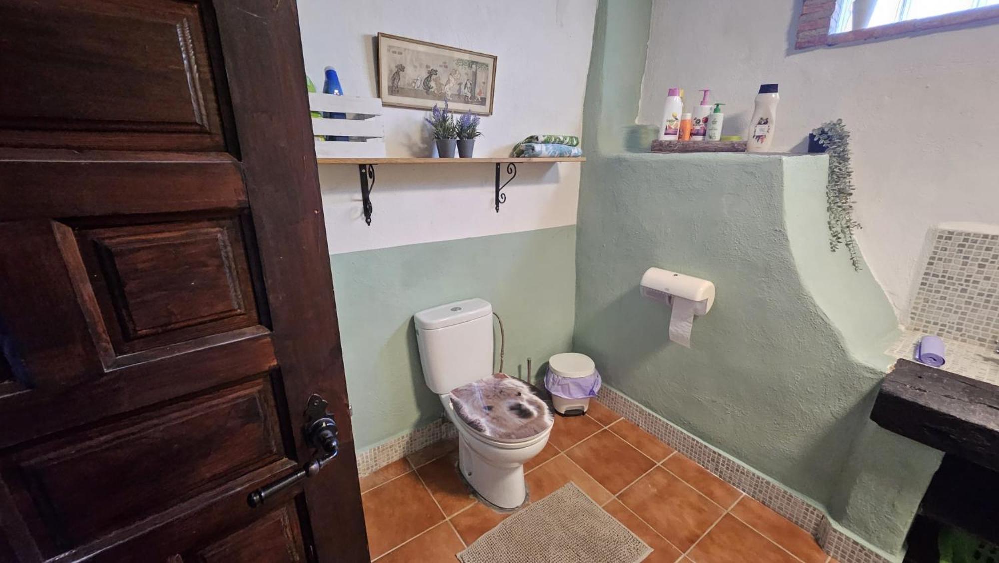 Appartement Experience Alpacas In Andalucia à Cordoue Extérieur photo